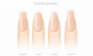 Różne kształty paznokci: kwadrat, owal, migdał i balerina. Migdałowy kształt jest elegancki i wydłuża palce.