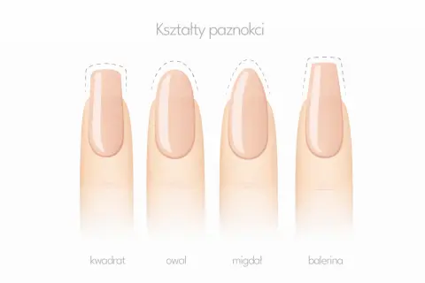 Różne kształty paznokci: kwadrat, owal, migdał i balerina. Migdałowy kształt jest elegancki i wydłuża palce.