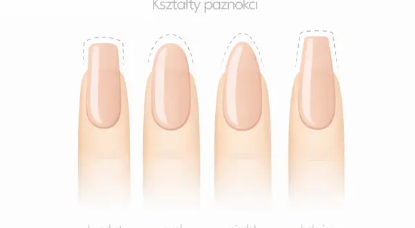 Różne kształty paznokci: kwadrat, owal, migdał i balerina. Migdałowy kształt jest elegancki i wydłuża palce.