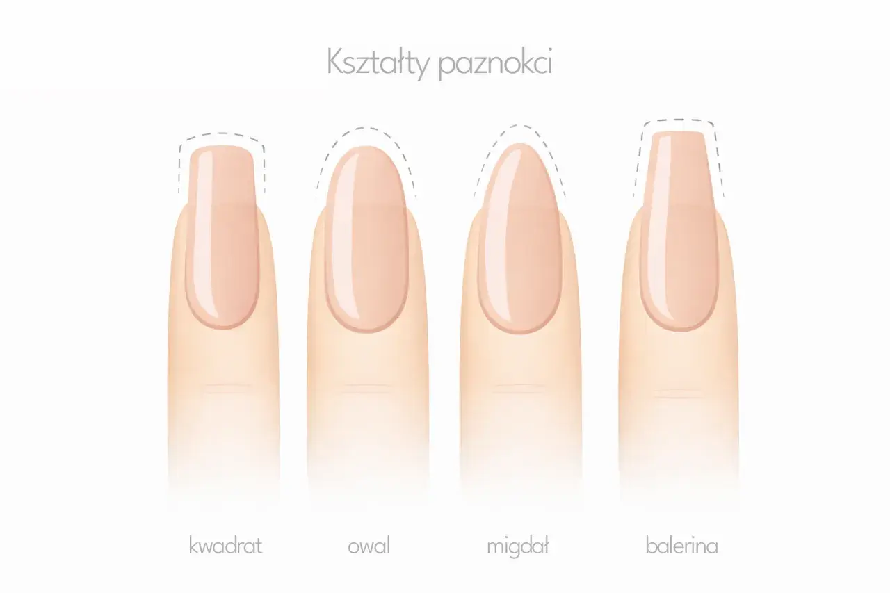 Różne kształty paznokci: kwadrat, owal, migdał i balerina. Migdałowy kształt jest elegancki i wydłuża palce.