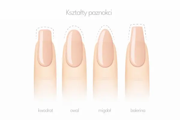 Różne kształty paznokci: kwadrat, owal, migdał i balerina. Migdałowy kształt jest elegancki i wydłuża palce.